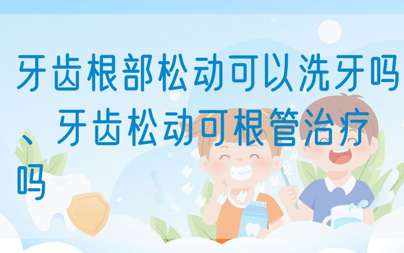 牙齿根部松动可以洗牙吗、牙齿松动可根管治疗吗