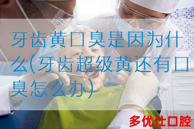 牙齿黄口臭是因为什么(牙齿超级黄还有口臭怎么办)