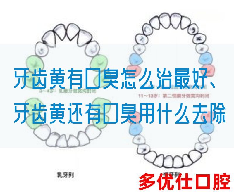 牙齿黄有口臭怎么治最好、牙齿黄还有口臭用什么去除