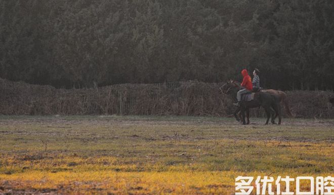 19.9元秒杀马术一对一执教！61元秒杀全年不限次儿童全口涂氟，还有......(图1)