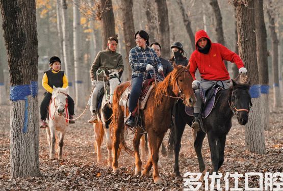 19.9元秒杀马术一对一执教！61元秒杀全年不限次儿童全口涂氟，还有......(图5)