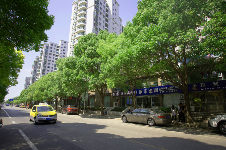 上海牙科医院排名推荐：哪家医院矫正好？(图8)