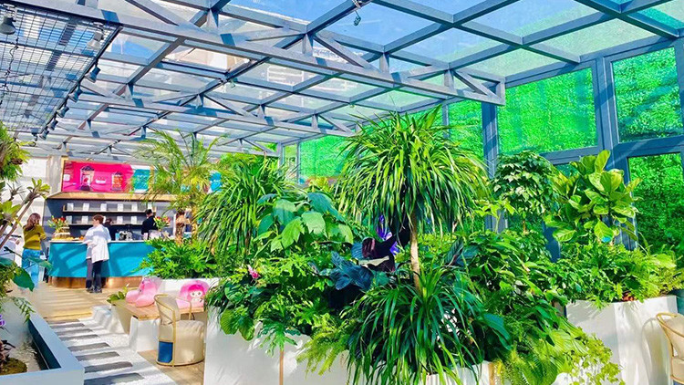 徐州植发医院哪家好？徐州植发医院排名推荐(图4)