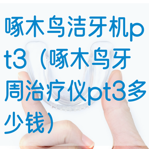 啄木鸟洁牙机pt3（啄木鸟牙周治疗仪pt3多少钱）(图1)