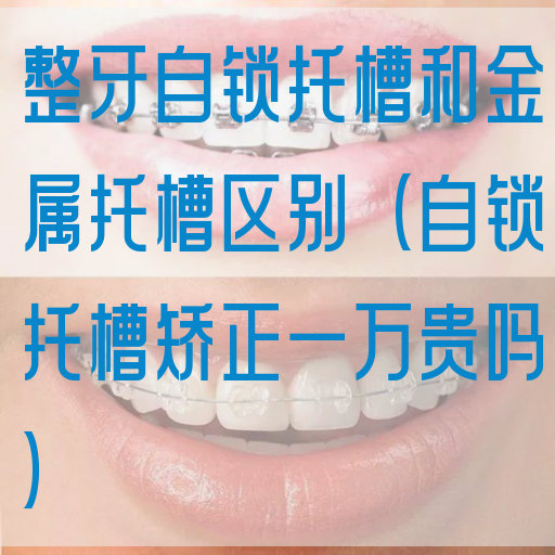 整牙自锁托槽和金属托槽区别（自锁托槽矫正一万贵吗）(图1)