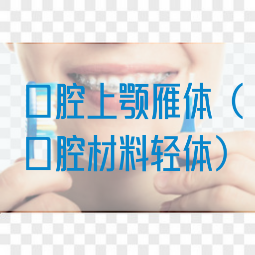 口腔上颚雁体（口腔材料轻体）(图1)