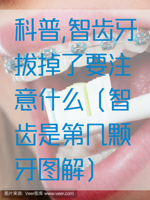 科普,智齿牙拔掉了要注意什么（智齿是第几颗牙图解）