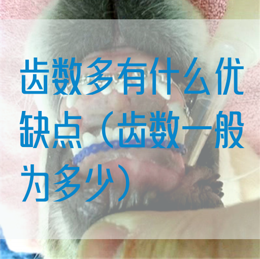 齿数多有什么优缺点（齿数一般为多少）