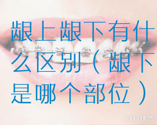 龈上龈下有什么区别（龈下是哪个部位）