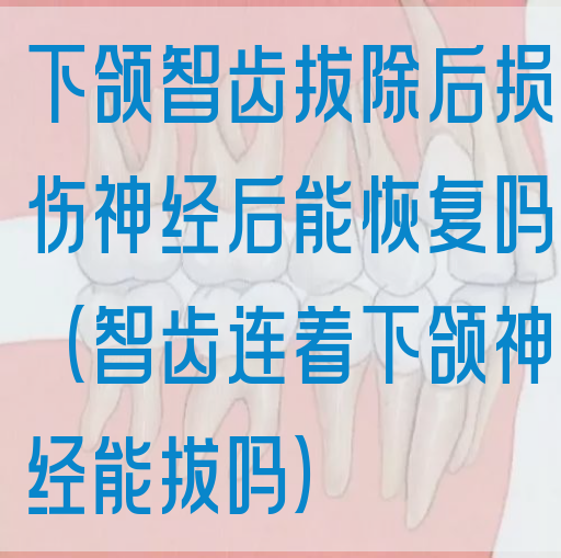 下颌智齿拔除后损伤神*后能恢复吗（智齿连着下颌神*能拔吗）