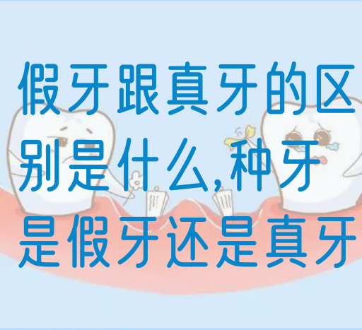 假牙跟真牙的区别是什么,种牙是假牙还是真牙