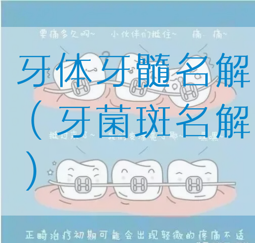 牙体牙髓名解（牙菌*名解）
