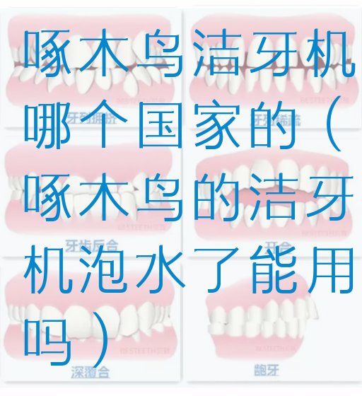 啄木鸟洁牙机哪个国家的（啄木鸟的洁牙机泡水了能用吗）