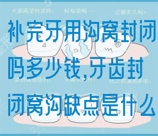补完牙用沟窝封闭吗多少钱,牙齿封闭窝沟缺点是什么