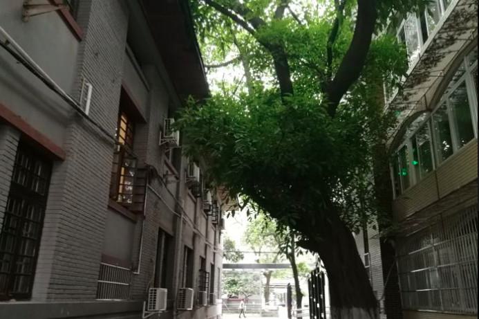 成都市第三人民医院口腔科洗牙服务评价如何，技术好吗，患者口碑怎么样？(图1)
