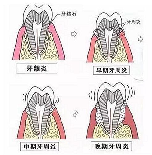 苏州思迈尔口腔门诊服务价格一览表：费用多少及是否昂贵详解(图1)