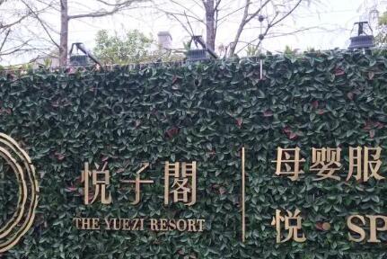 上海有多少家月子中心？宝妈种草合集推荐，排名榜前十口碑持续爆表